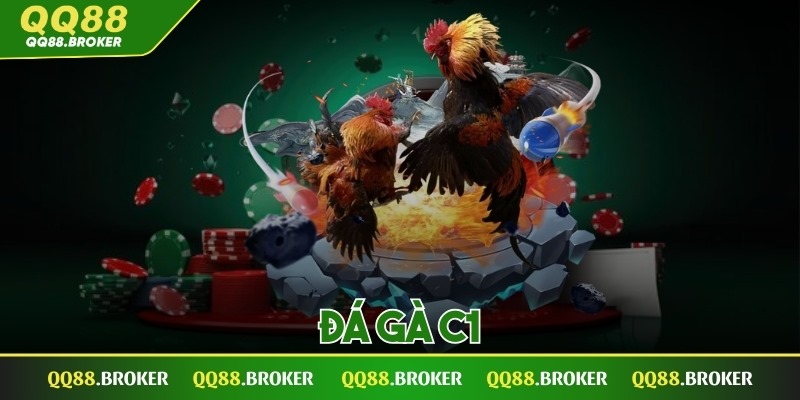 Đá gà C1